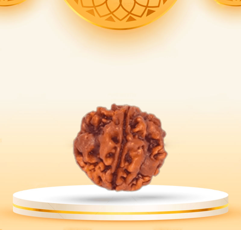 1Mukhi