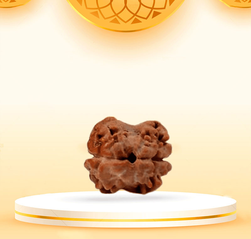 2Mukhi