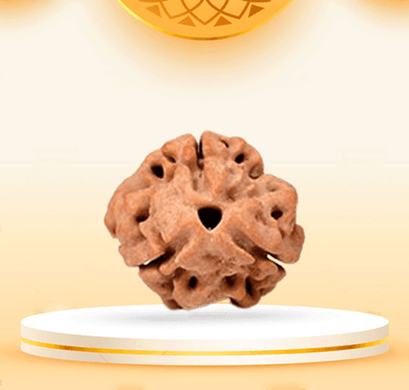3Mukhi