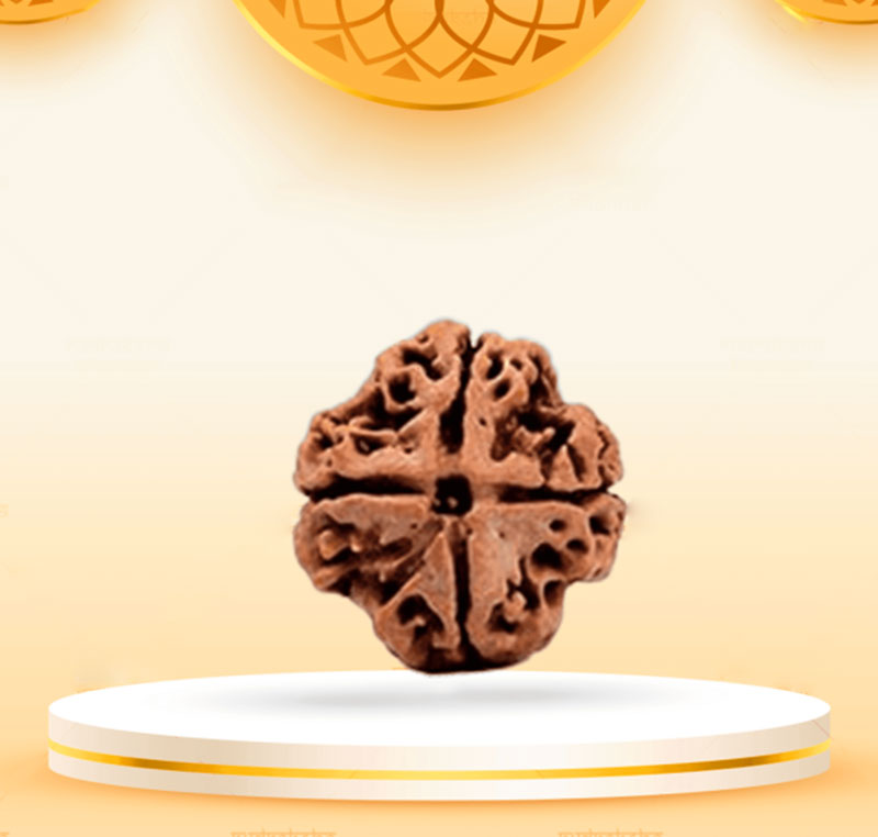 4Mukhi