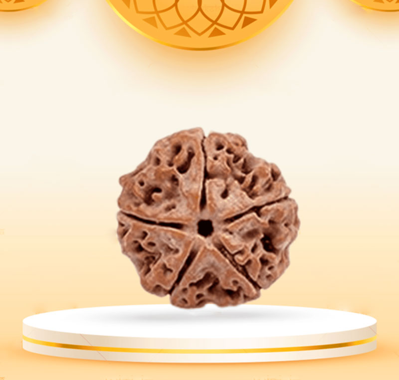 5Mukhi