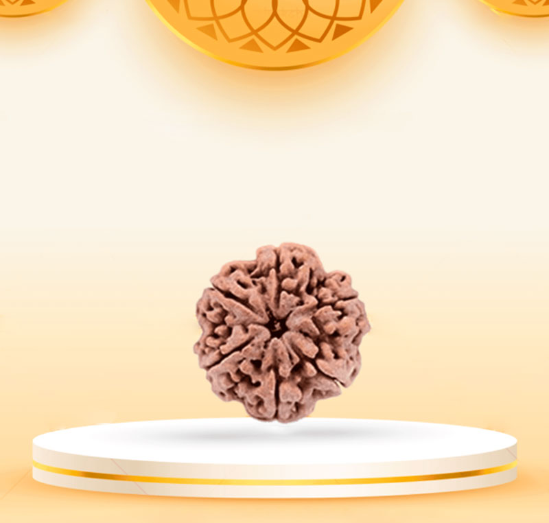 6Mukhi