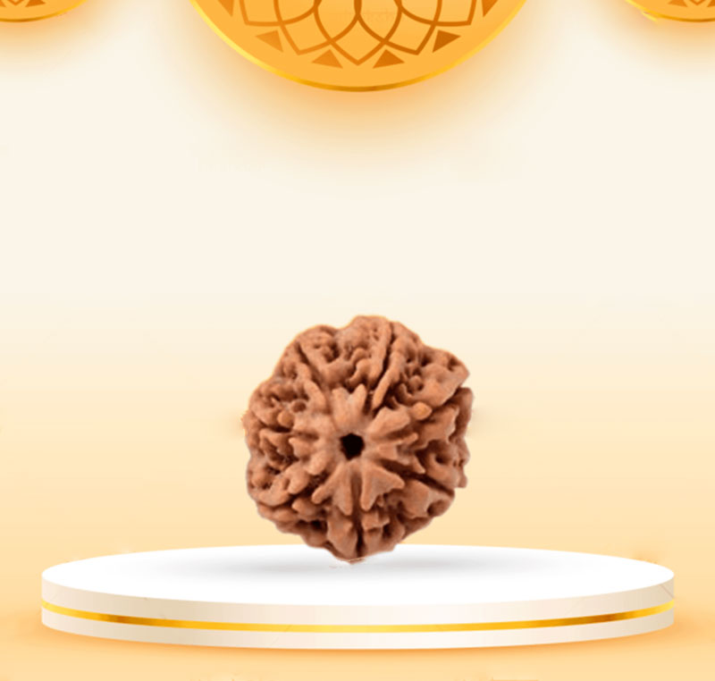 7Mukhi