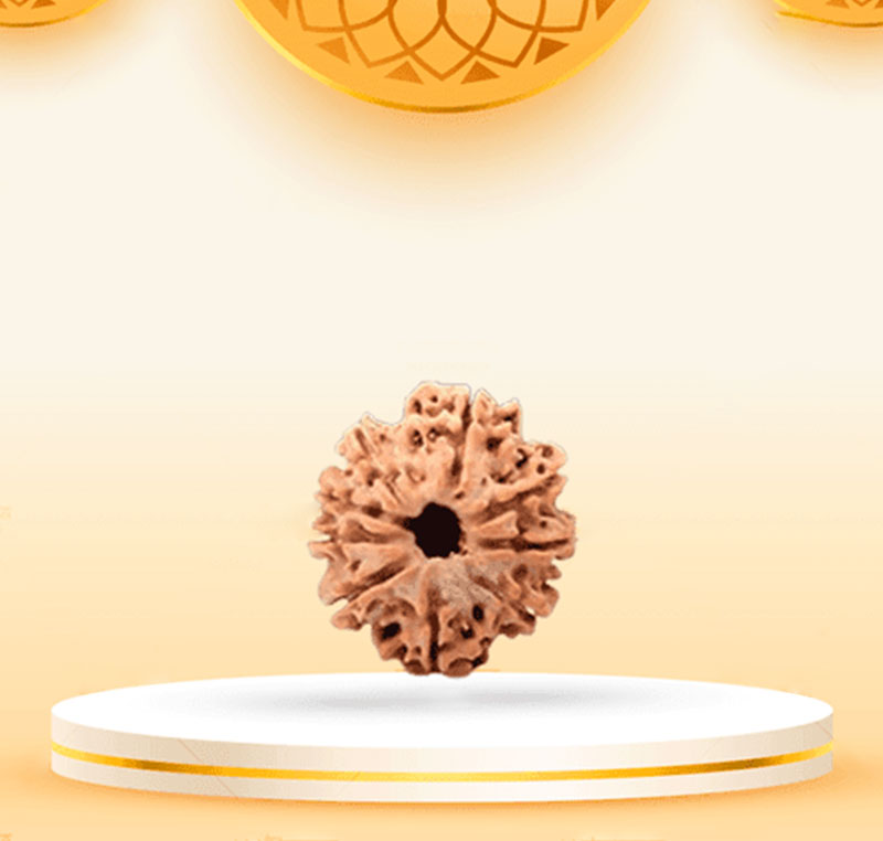 9Mukhi