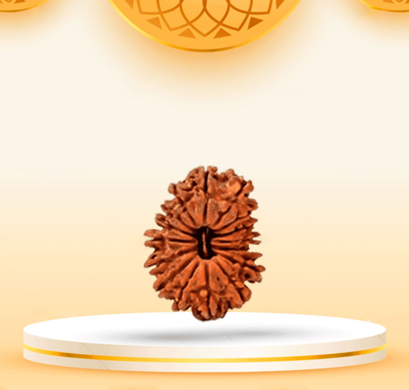 16Mukhi