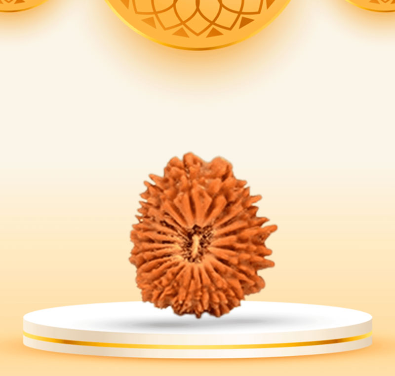 21Mukhi