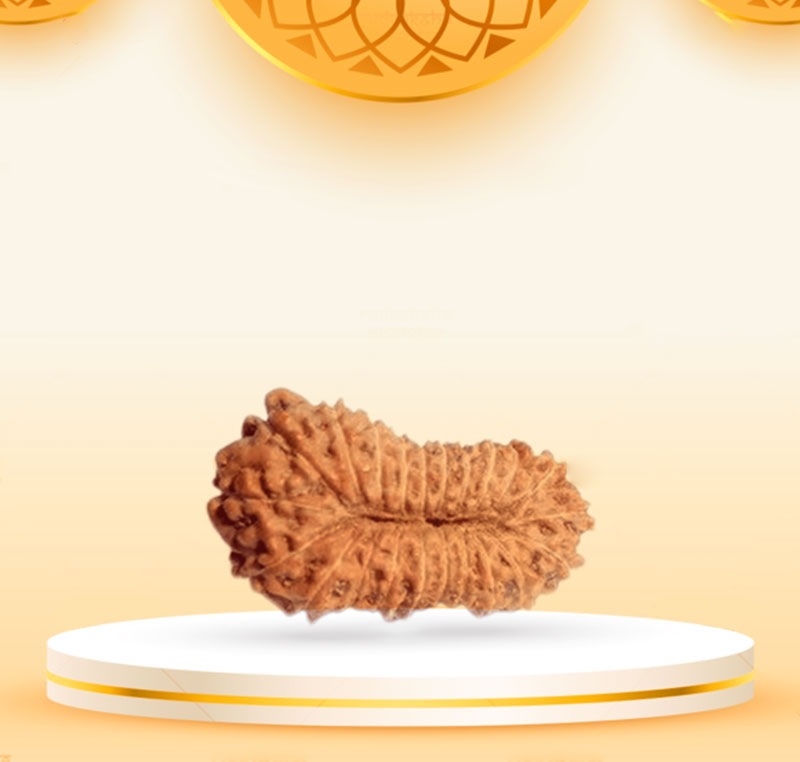 22Mukhi