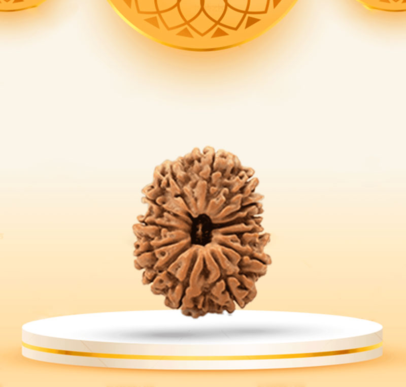 13Mukhi
