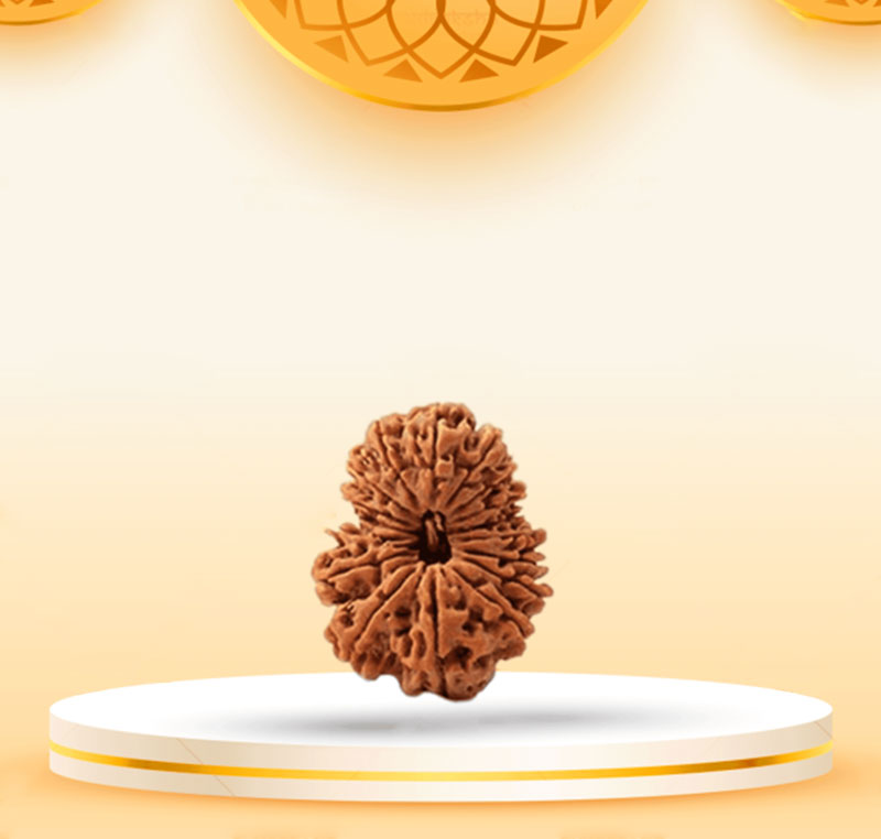 17Mukhi