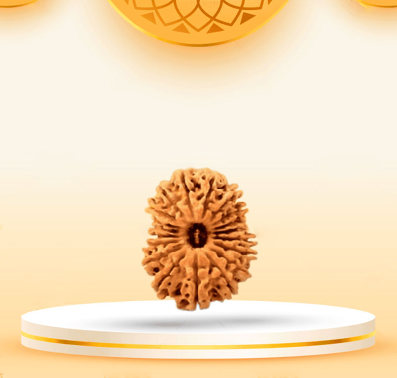 19Mukhi