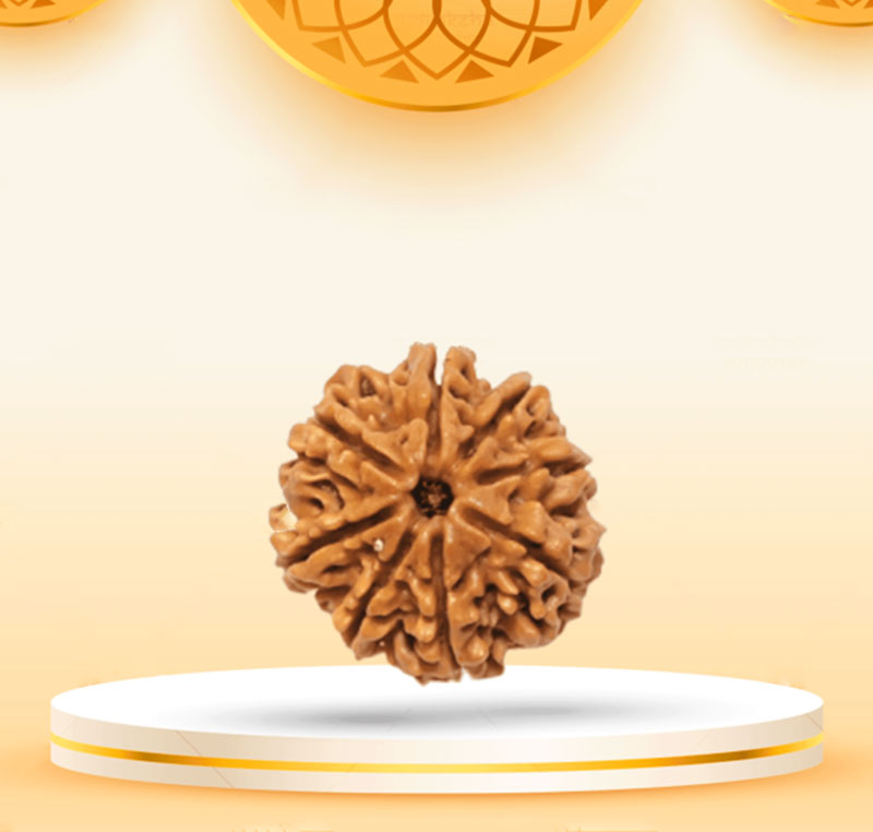 8Mukhi