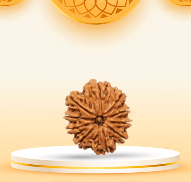 10Mukhi
