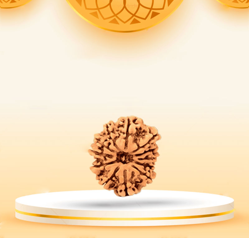 12Mukhi