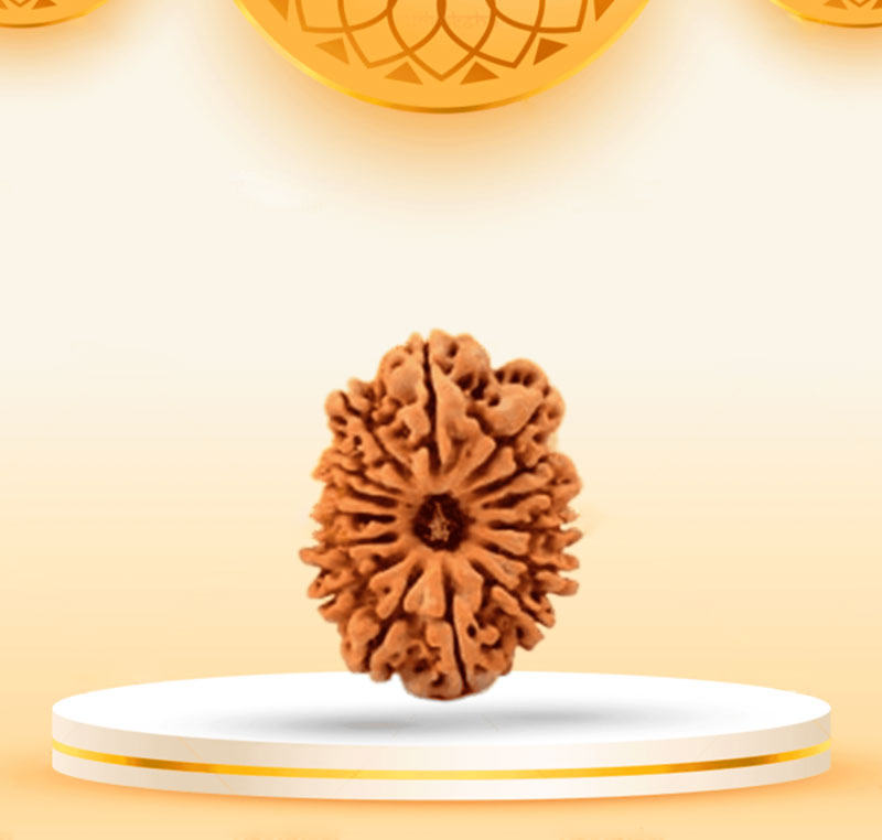 15Mukhi